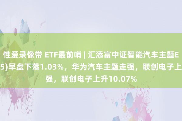 性爱录像带 ETF最前哨 | 汇添富中证智能汽车主题ETF(159795)早盘下落1.03%，华为汽车主题走强，联创电子上升10.07%