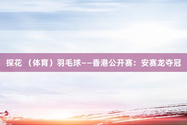 探花 （体育）羽毛球——香港公开赛：安赛龙夺冠
