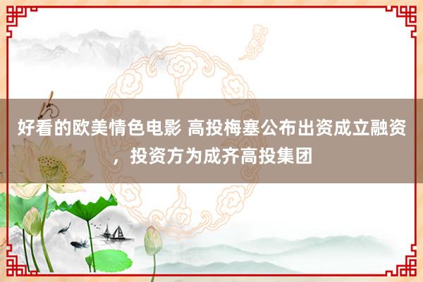 好看的欧美情色电影 高投梅塞公布出资成立融资，投资方为成齐高投集团