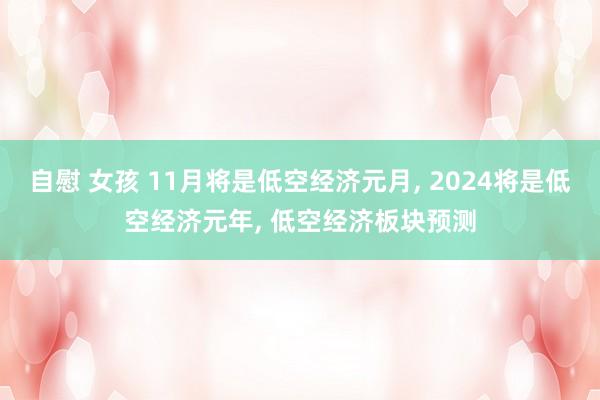 自慰 女孩 11月将是低空经济元月， 2024将是低空经济元年， 低空经济板块预测