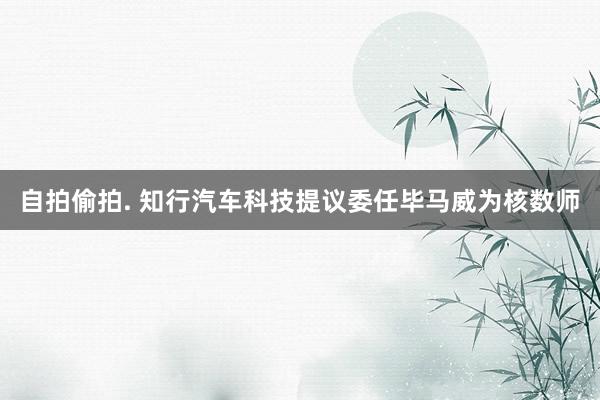 自拍偷拍. 知行汽车科技提议委任毕马威为核数师