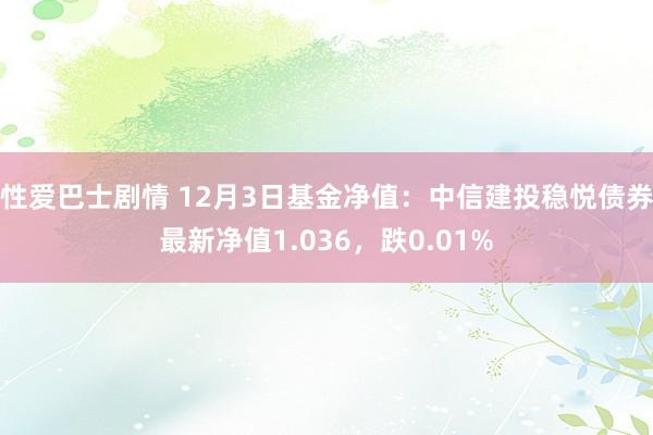 性爱巴士剧情 12月3日基金净值：中信建投稳悦债券最新净值1.036，跌0.01%