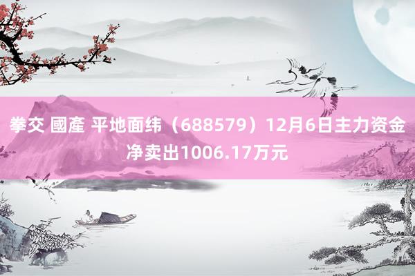 拳交 國產 平地面纬（688579）12月6日主力资金净卖出1006.17万元