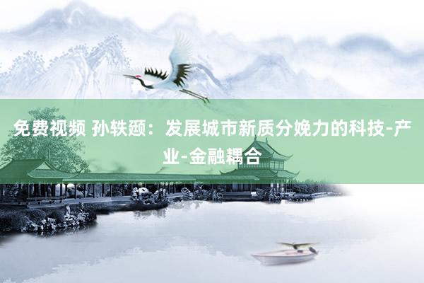 免费视频 孙轶颋：发展城市新质分娩力的科技-产业-金融耦合