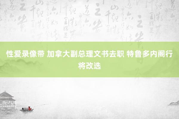 性爱录像带 加拿大副总理文书去职 特鲁多内阁行将改选