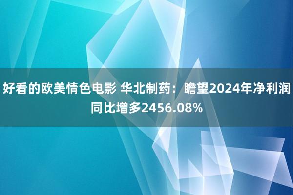好看的欧美情色电影 华北制药：瞻望2024年净利润同比增多2456.08%
