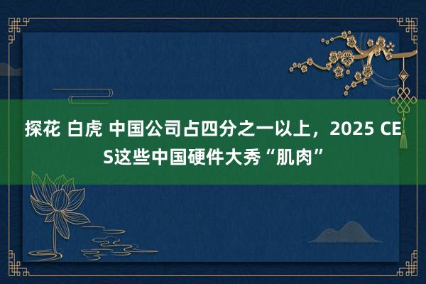 探花 白虎 中国公司占四分之一以上，2025 CES这些中国硬件大秀“肌肉”
