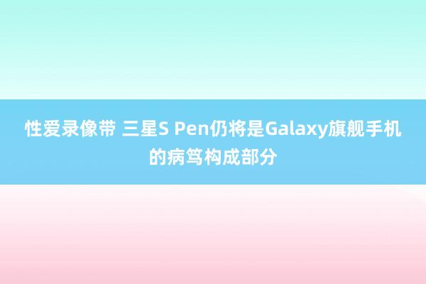 性爱录像带 三星S Pen仍将是Galaxy旗舰手机的病笃构成部分