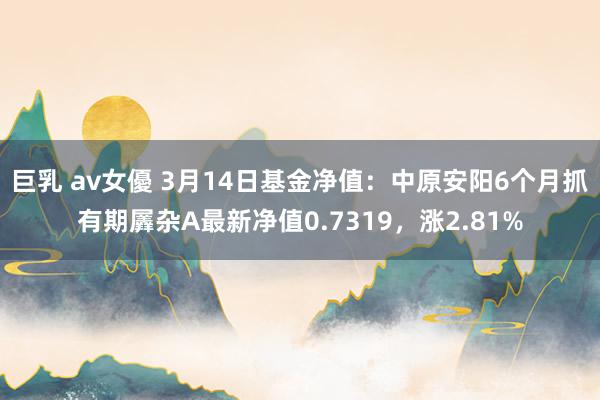 巨乳 av女優 3月14日基金净值：中原安阳6个月抓有期羼杂A最新净值0.7319，涨2.81%