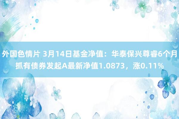 外国色情片 3月14日基金净值：华泰保兴尊睿6个月抓有债券发起A最新净值1.0873，涨0.11%