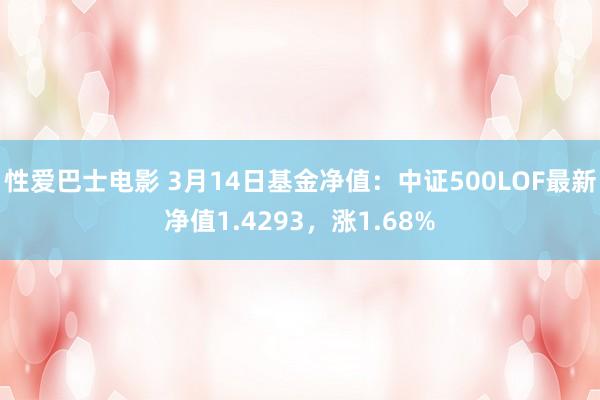 性爱巴士电影 3月14日基金净值：中证500LOF最新净值1.4293，涨1.68%