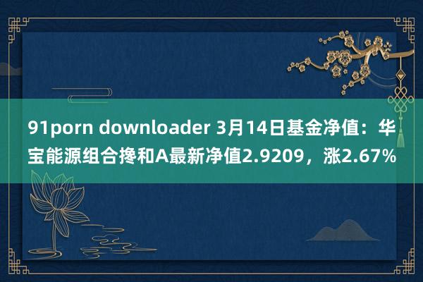 91porn downloader 3月14日基金净值：华宝能源组合搀和A最新净值2.9209，涨2.67%