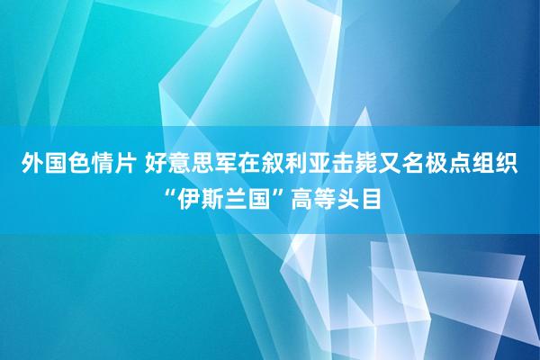 外国色情片 好意思军在叙利亚击毙又名极点组织“伊斯兰国”高等头目