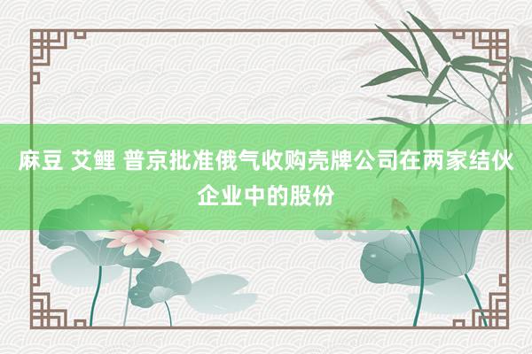 麻豆 艾鲤 普京批准俄气收购壳牌公司在两家结伙企业中的股份