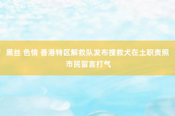 黑丝 色情 香港特区解救队发布搜救犬在土职责照 市民留言打气