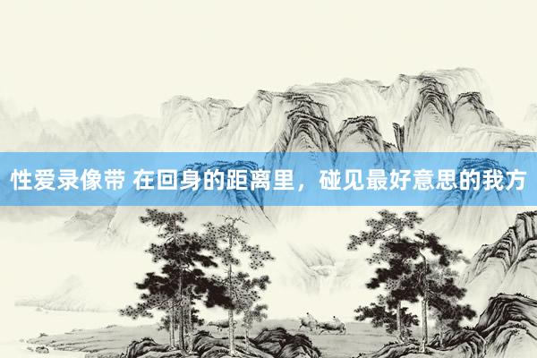 性爱录像带 在回身的距离里，碰见最好意思的我方