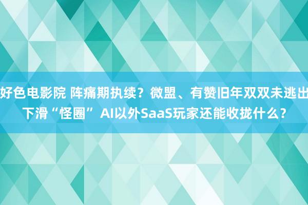 好色电影院 阵痛期执续？微盟、有赞旧年双双未逃出下滑“怪圈” AI以外SaaS玩家还能收拢什么？