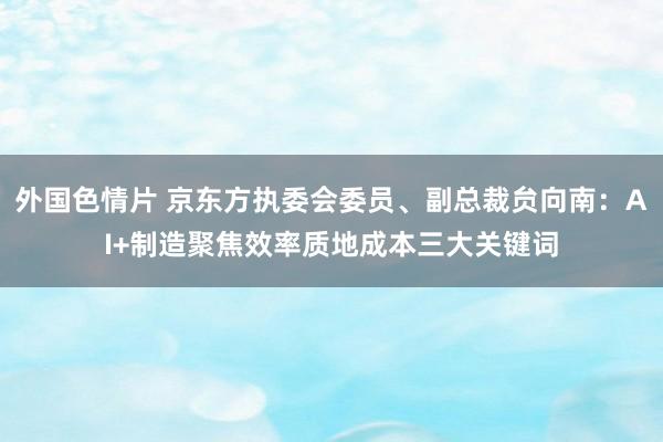 外国色情片 京东方执委会委员、副总裁贠向南：AI+制造聚焦效率质地成本三大关键词