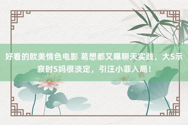 好看的欧美情色电影 葛想都又曝聊天实践，大S示寂时S妈很淡定，引汪小菲入局！