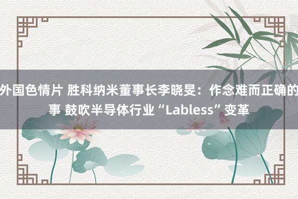 外国色情片 胜科纳米董事长李晓旻：作念难而正确的事 鼓吹半导体行业“Labless”变革
