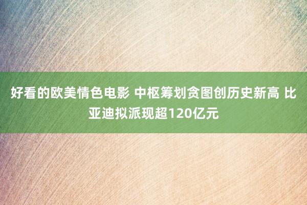 好看的欧美情色电影 中枢筹划贪图创历史新高 比亚迪拟派现超120亿元