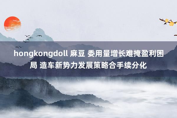 hongkongdoll 麻豆 委用量增长难掩盈利困局 造车新势力发展策略合手续分化