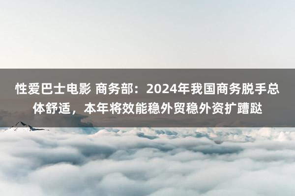 性爱巴士电影 商务部：2024年我国商务脱手总体舒适，本年将效能稳外贸稳外资扩蹧跶