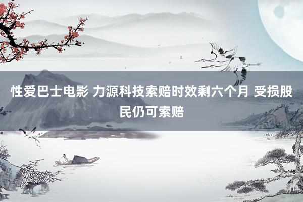 性爱巴士电影 力源科技索赔时效剩六个月 受损股民仍可索赔
