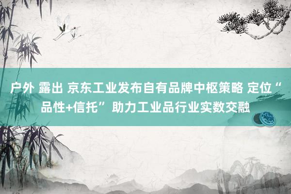 户外 露出 京东工业发布自有品牌中枢策略 定位“品性+信托” 助力工业品行业实数交融