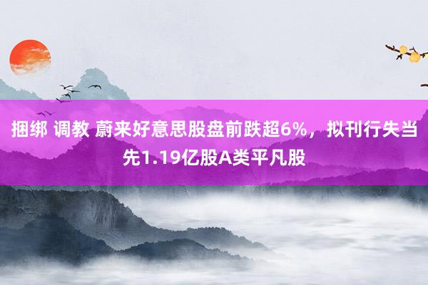 捆绑 调教 蔚来好意思股盘前跌超6%，拟刊行失当先1.19亿股A类平凡股