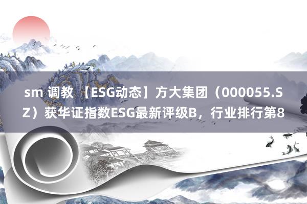 sm 调教 【ESG动态】方大集团（000055.SZ）获华证指数ESG最新评级B，行业排行第8