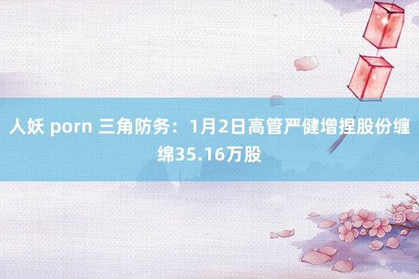 人妖 porn 三角防务：1月2日高管严健增捏股份缠绵35.16万股