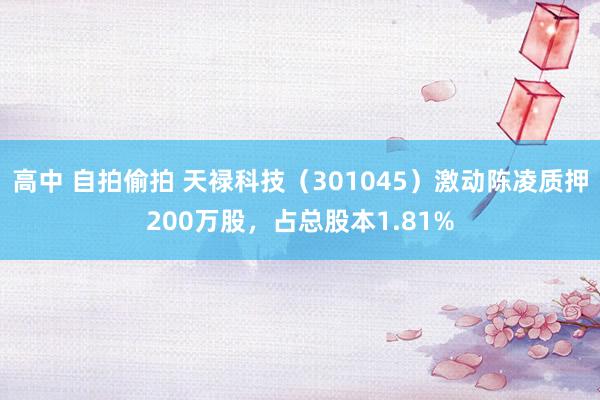 高中 自拍偷拍 天禄科技（301045）激动陈凌质押200万股，占总股本1.81%