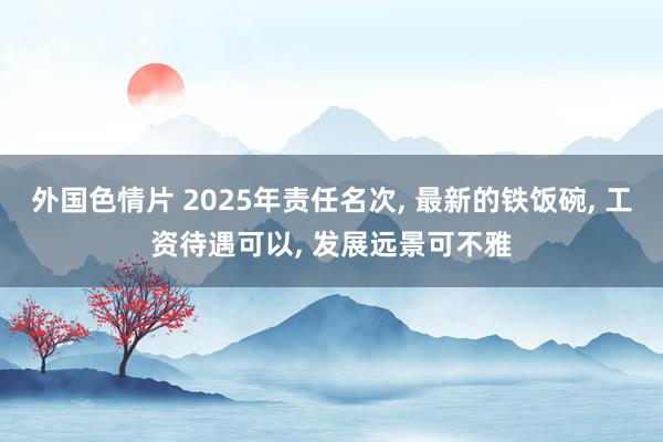 外国色情片 2025年责任名次， 最新的铁饭碗， 工资待遇可以， 发展远景可不雅