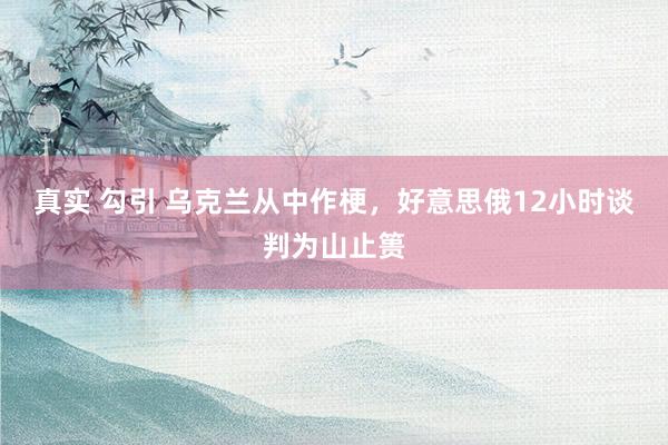 真实 勾引 乌克兰从中作梗，好意思俄12小时谈判为山止篑