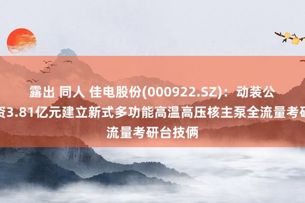 露出 同人 佳电股份(000922.SZ)：动装公司拟投资3.81亿元建立新式多功能高温高压核主泵全流量考研台技俩