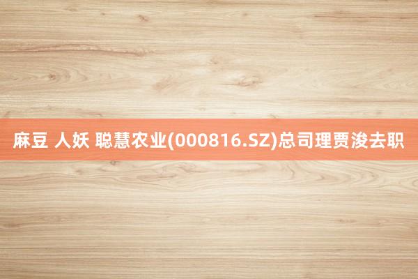 麻豆 人妖 聪慧农业(000816.SZ)总司理贾浚去职
