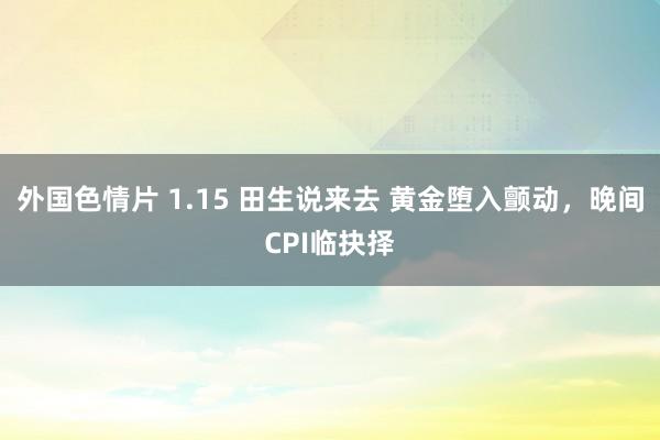 外国色情片 1.15 田生说来去 黄金堕入颤动，晚间CPI临抉择