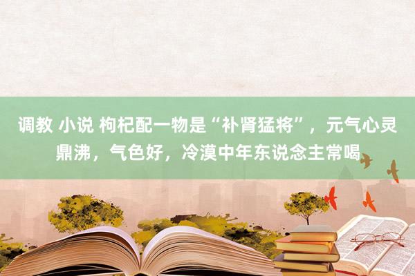 调教 小说 枸杞配一物是“补肾猛将”，元气心灵鼎沸，气色好，冷漠中年东说念主常喝