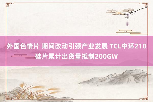 外国色情片 期间改动引颈产业发展 TCL中环210硅片累计出货量抵制200GW