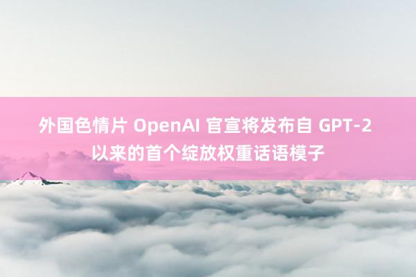 外国色情片 OpenAI 官宣将发布自 GPT-2 以来的首个绽放权重话语模子