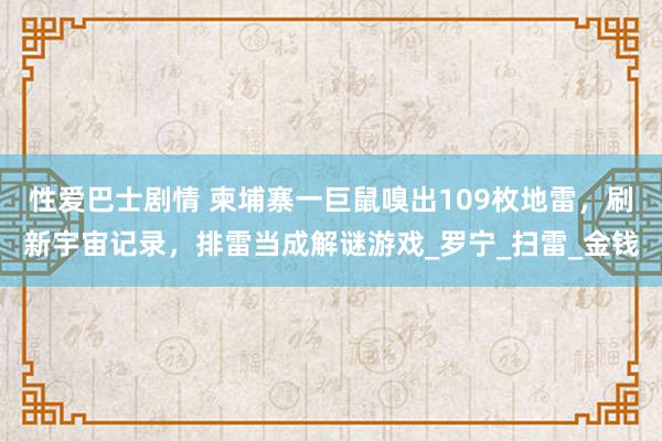 性爱巴士剧情 柬埔寨一巨鼠嗅出109枚地雷，刷新宇宙记录，排雷当成解谜游戏_罗宁_扫雷_金钱