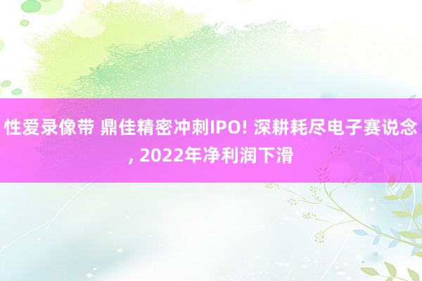 性爱录像带 鼎佳精密冲刺IPO! 深耕耗尽电子赛说念， 2022年净利润下滑