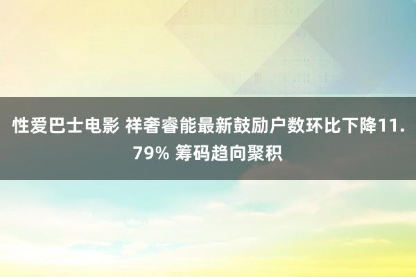 性爱巴士电影 祥奢睿能最新鼓励户数环比下降11.79% 筹码趋向聚积