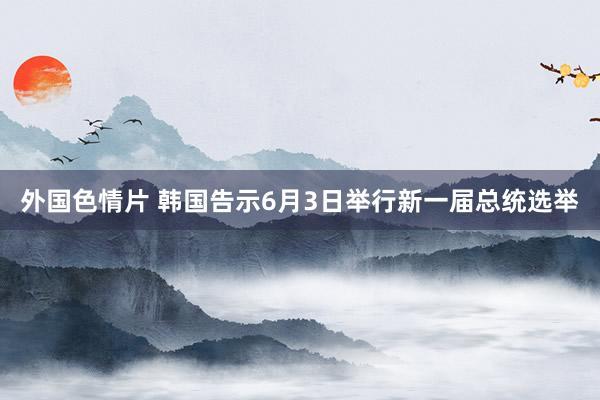 外国色情片 韩国告示6月3日举行新一届总统选举