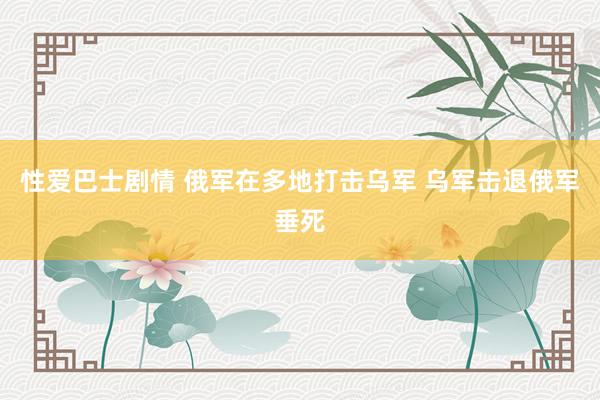 性爱巴士剧情 俄军在多地打击乌军 乌军击退俄军垂死