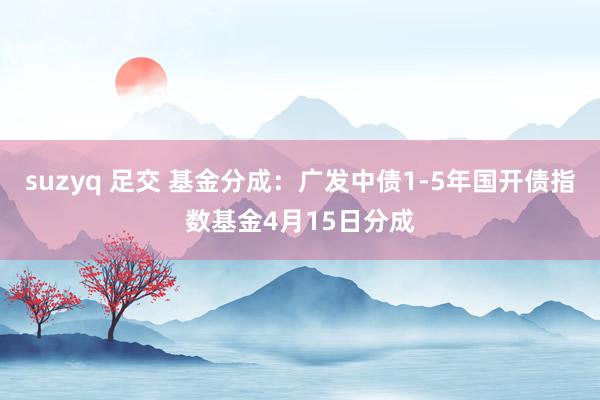 suzyq 足交 基金分成：广发中债1-5年国开债指数基金4月15日分成