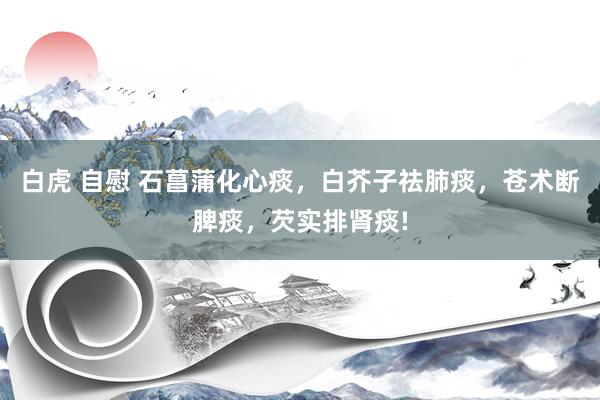 白虎 自慰 石菖蒲化心痰，白芥子祛肺痰，苍术断脾痰，芡实排肾痰!