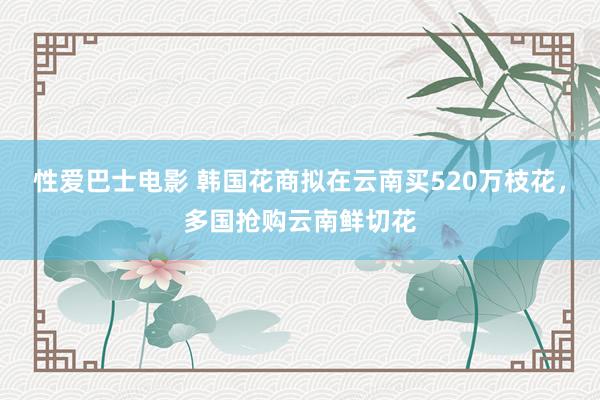 性爱巴士电影 韩国花商拟在云南买520万枝花，多国抢购云南鲜切花