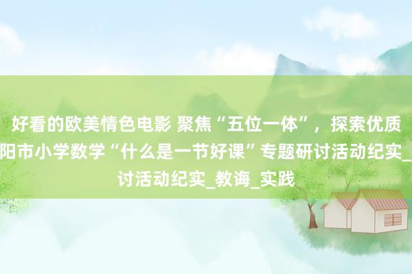 好看的欧美情色电影 聚焦“五位一体”，探索优质课堂——阜阳市小学数学“什么是一节好课”专题研讨活动纪实_教诲_实践